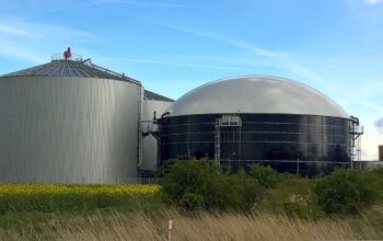 Bundesministerien legen Nationale Biomassestrategie vor