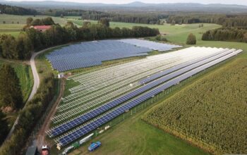 PPA-Preis für neue Photovoltaik sinkt auf Niveau von Juli
