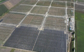 Agri-PV mit 164 Megawatt auf 180 Hektar